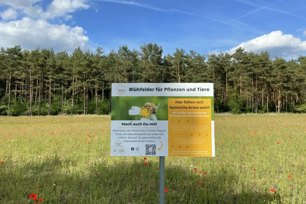 Eine Infotafel neben einem Blühfeld von Artenglück mit Informationen über Blühwiesen und andere Naturschutzmaßnahmen