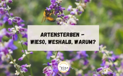 Artensterben – wieso, weshalb, warum?