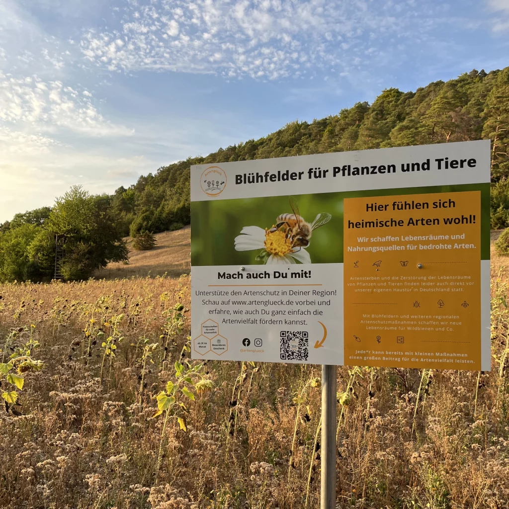 Junge Setzlinge für Waldaufforstung durch Patenschaft für Naturschutz und Artenvielfalt